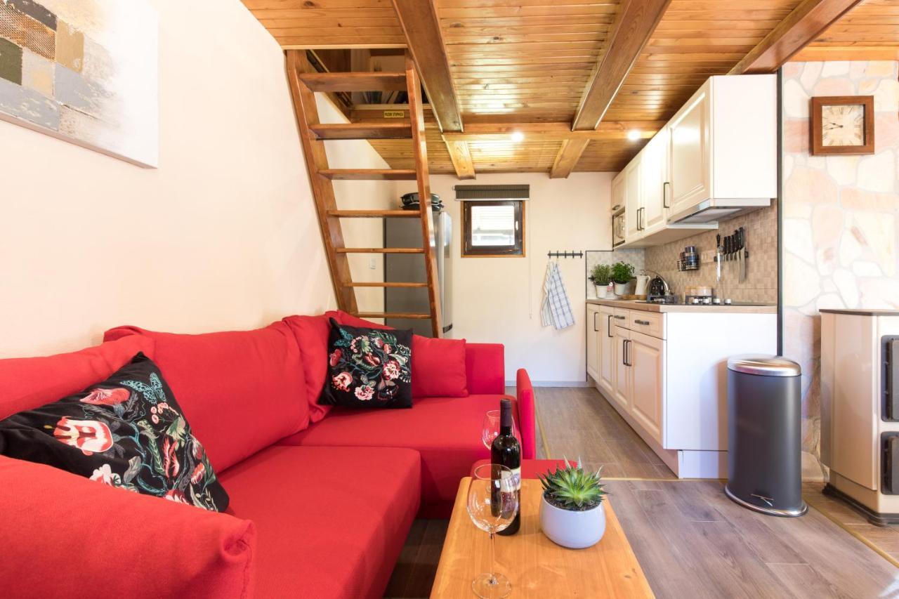 Vila Rozi, Osilnica - Vacation House Pr' Vili Rozi المظهر الخارجي الصورة