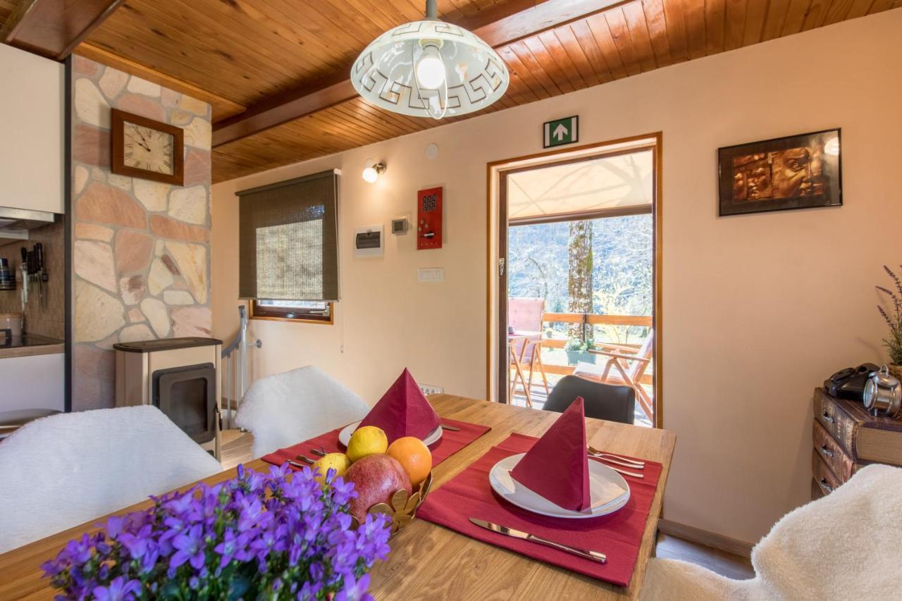 Vila Rozi, Osilnica - Vacation House Pr' Vili Rozi المظهر الخارجي الصورة