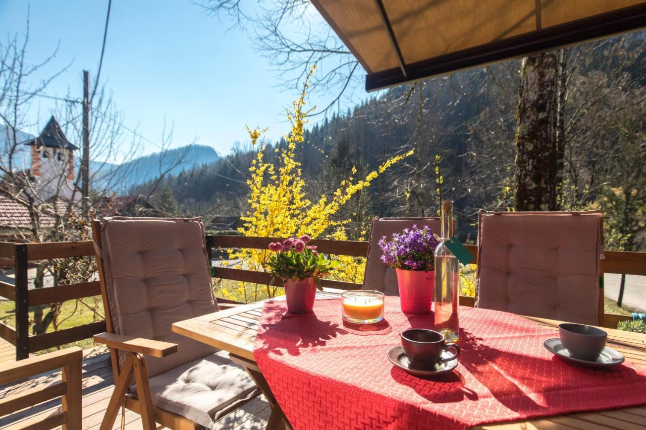 Vila Rozi, Osilnica - Vacation House Pr' Vili Rozi المظهر الخارجي الصورة