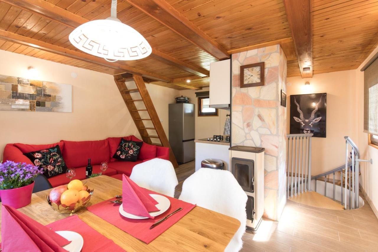 Vila Rozi, Osilnica - Vacation House Pr' Vili Rozi المظهر الخارجي الصورة