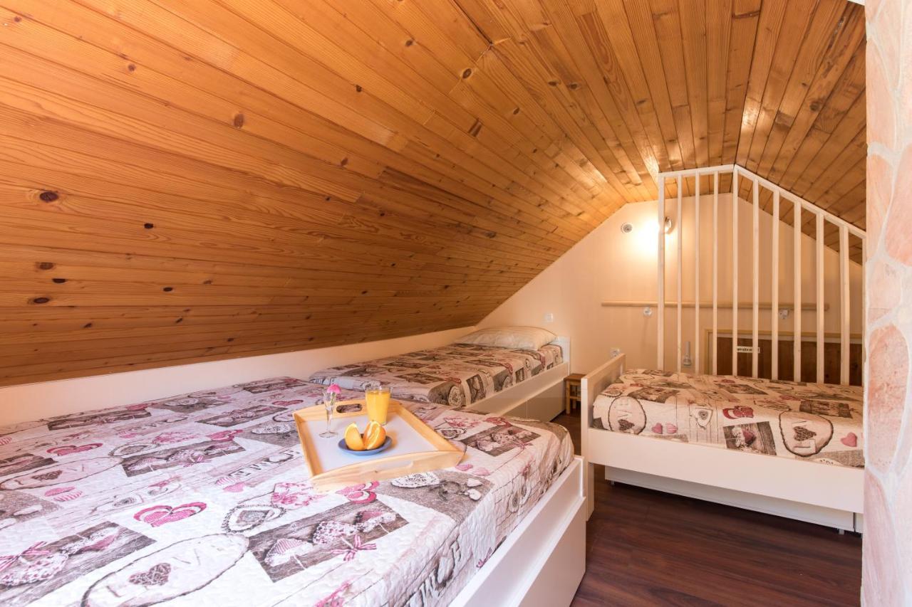 Vila Rozi, Osilnica - Vacation House Pr' Vili Rozi المظهر الخارجي الصورة